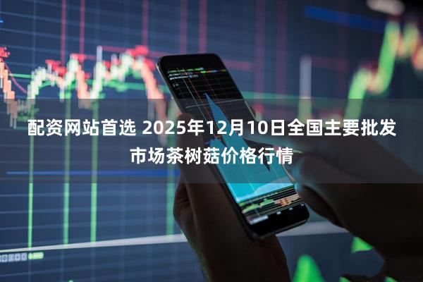 配资网站首选 2025年12月10日全国主要批发市场茶树菇价格行情
